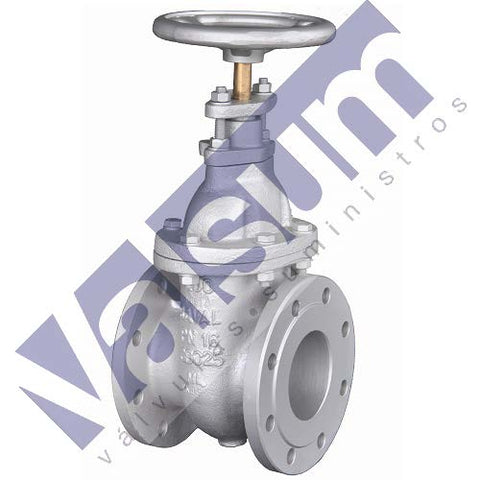 Válvula de compuerta acero PN16/10