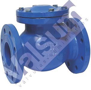 Válvula de retención con clapeta recubierta de goma