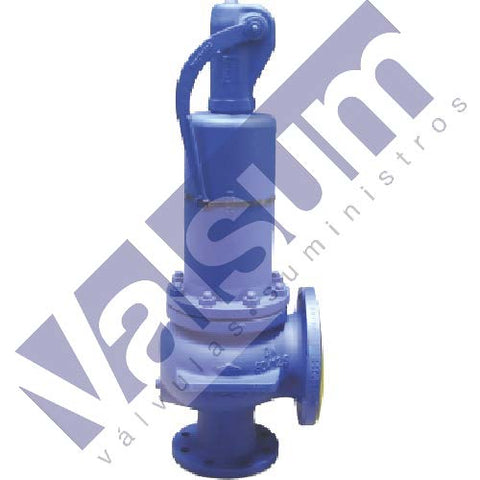 Válvula de seguridad, escape conducido con bridas